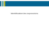Identification des expressions. Bibliothèque et Archives nationales du Québec ▪ 2 Plan  Identifier une expression  Décisions LC  Construction du point.