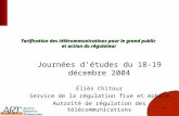 1 Tarification des télécommunications pour le grand public et action du régulateur Journées d’études du 18-19 décembre 2004 Éliès Chitour Service de la.