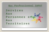 Bac Professionnel SAPAT ServicesAux Personnes et AuxTerritoires.