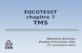 ÉQCOTESST chapitre 7 TMS Micheline Boucher, Module Prévention SSE, 27 novembre 2014.
