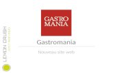 Gastromania Nouveau site web. ANALYSE DE LA CONCURRENCE.
