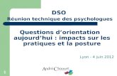 1 DSO Réunion technique des psychologues Questions d’orientation aujourd’hui : impacts sur les pratiques et la posture Lyon - 4 juin 2012.