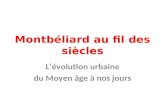 Montbéliard au fil des siècles L’évolution urbaine du Moyen âge à nos jours.