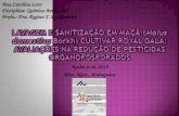 Alim. Nutr., Araraquara Rocha et al, 2010 Ana Carolina Loro Disciplina: Química Ambiental Profa.: Dra. Regina T. R. Monteiro.