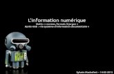 Informatique documentaire - Cours Licence pro bib 2013