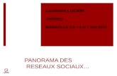 Panorama des réseaux sociaux  - Perfeo -Marseille 2.0