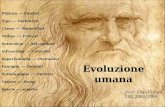 Evoluzione umana Phylum --- Cordati Tipo --- Vertebrati Classe --- Mammiferi Ordine --- Primati Sottordine --- Antropoidei Infraordine --- Catarrini Superfamiglia.