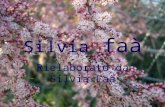 Silvia faà Rielaborato da Silvia Faà. Ordine Violales Famiglia Tamaricaceae Genere Tamarix Macrotipo Corologico Mediterranee Specie Fanerofita Nome scientifico.