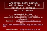 Anaestro post-partum definizione, fattori di rischio e terapia Prof. Ch. Hanzen Université de Liège Faculté de Médecine Vétérinaire Service de Thériogenologie.
