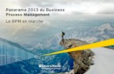 Panorama 2013 du Business Process Management : Le BPM en marche