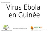 Virus ebola en guinée