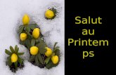 11 12-06 -salut_au_printemps_____