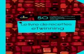 E twinning