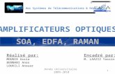 Amplificateurs optiques (soa, raman, edfa)