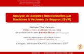 Analyse de données fonctionnelles par Machines à Vecteurs de Support (SVM)