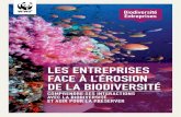 WWF France - les entreprises face à l'érosion de la biodiversité (septembre 2010)