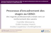 Presentation   messara-stages-iso-original