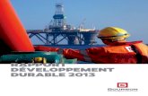 Rapport dev durable 2013 - BOURBON