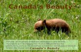 Canadas Beauty Jt