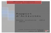Rapport activités 2012 2013