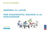 Synthèse diagnostic Agenda 21 Rouen décembre 2009