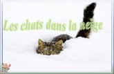 Tdgg 19 01 11 les chats-dans-la-neige-helen