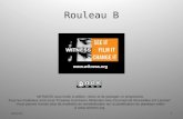 Witness curriculum 10-rouleau b-2011