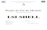 Rapport de projet shell
