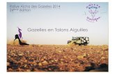 Rallye des Gazelles 2014 : Dossier de sponsoring des Gazelles en talons aiguilles