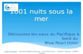 Blue Pearl Hotel - Hôtel sous marin - Projet touristique durable innovant