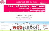 Reseaux sociaux web school 2011