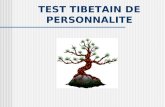 Test tibetain de_personalit-
