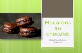 Macaronsauchocolatmadalina 131225095353-phpapp01