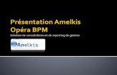 Présentation Du Progiciel de consolidation et reporting Amelkis "Opera BPM"