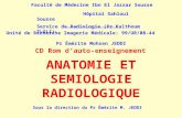 1 anatomie et semiologie rdiologique (version 1)