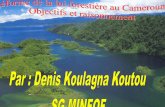 Denis Koulagna: La réforme de la loi forestière au Cameroun : Objectifs et justification