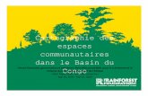 MartijnTer Heegde: Cartographie des espaces communautaires dans le Basin du Congo