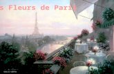Les Fleurs de Paris