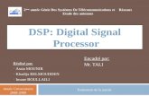 Digital Signal Processor ( DSP )  [French]