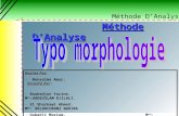 Methode typomorpho