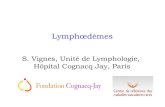 Soirée dr vignes lymphoedeme 23mai2013