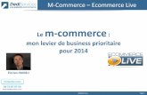 Conférence M-Commerce sur Ecommerce Live le 24/10/2013