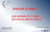 Dr Bertin Foading Deffo: Angor stable - Qui bénéficie d’une revascularisation? (BHC Symposium 2012)