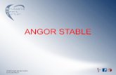 Dr Marc Castadot: Angor stable – Définition et actualités thérapeutiques (BHC Symposium 2012)