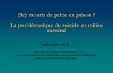 Marc Daigle - WEBINAIRE -  (Se) Mourir de peine en prison? La problématique du suicide en milieu carcéral