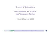 Diaporama  CO UMT MSTB 24 janvier 2012