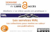 Les services HAL : les collections pour mettre en valeur vos publications