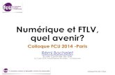 Colloque FCU 12 juin 2014 numérique et FTLV - Sorbonne