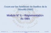 OACI SMS Module N° 6 – Règlementation Du SMS 2008-11 (PF)