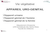 PCEM1 2008 Cours 8 Urogenital.ppt
